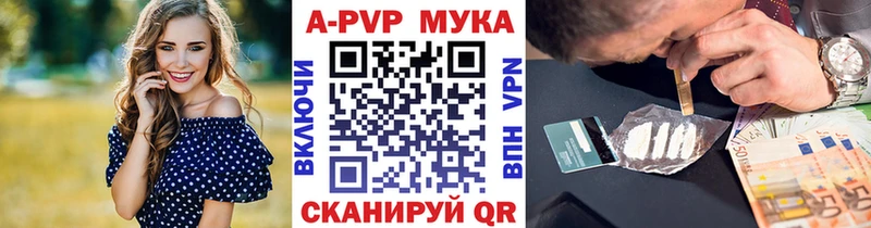 APVP СК  Майкоп 